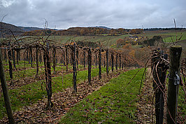 Ahrtal (3v9) - Bernhard Saalfeld - Lichtbildkunst